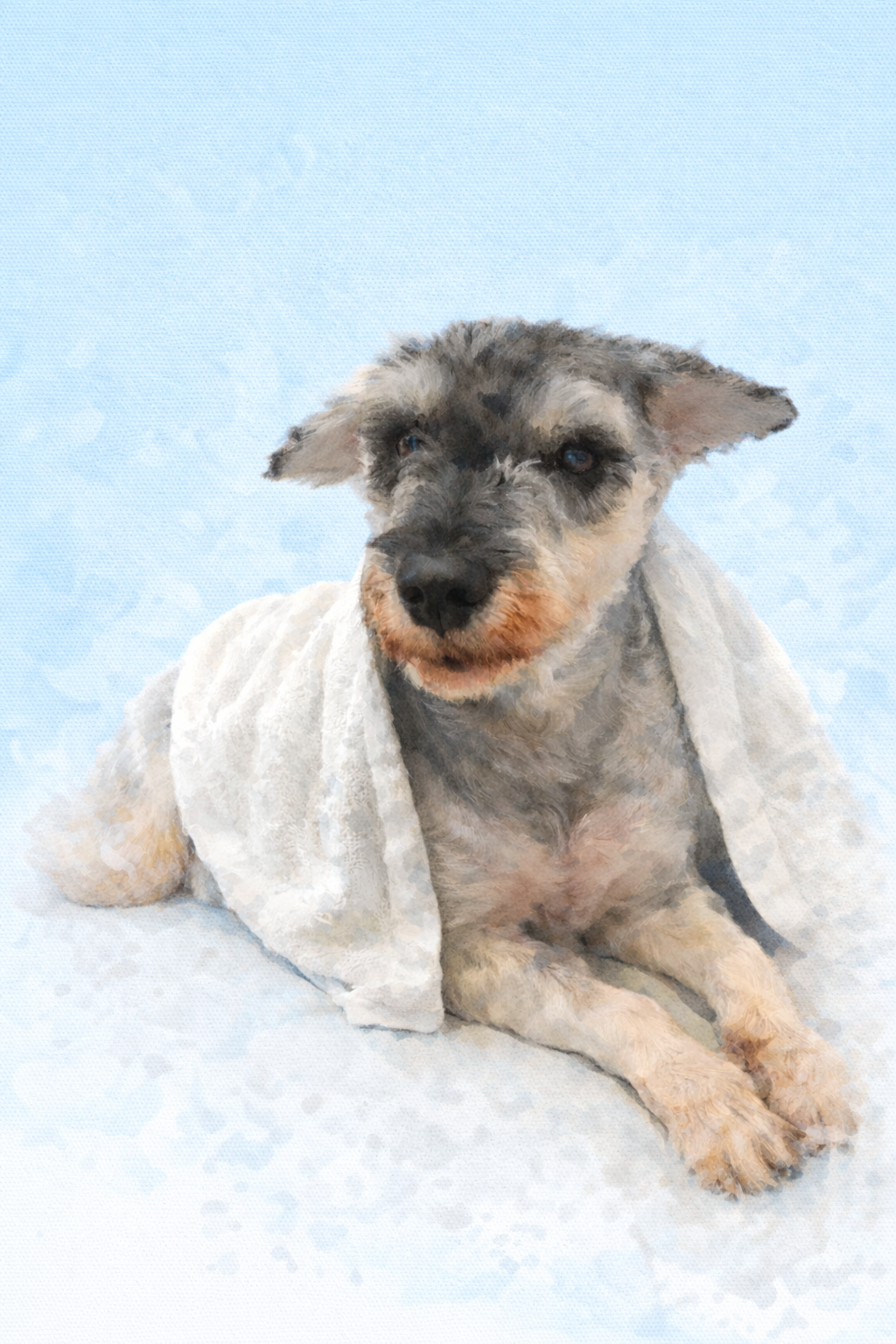 Pet Photo Enhancement and Artification