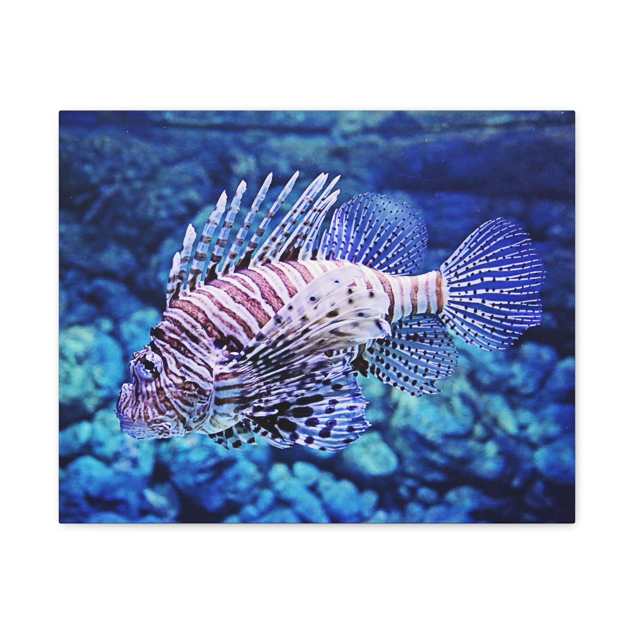 Lionfish Underwater Canvas Print – Premium Ocean Wildlife Wall Art for Home, Office & Coastal Décor