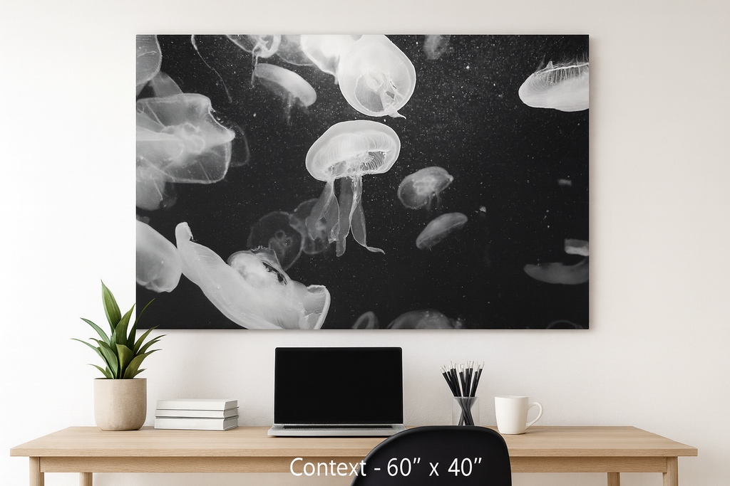 Jellyfish Canvas Print in Monochrome  — Black & White Ocean Wall Art