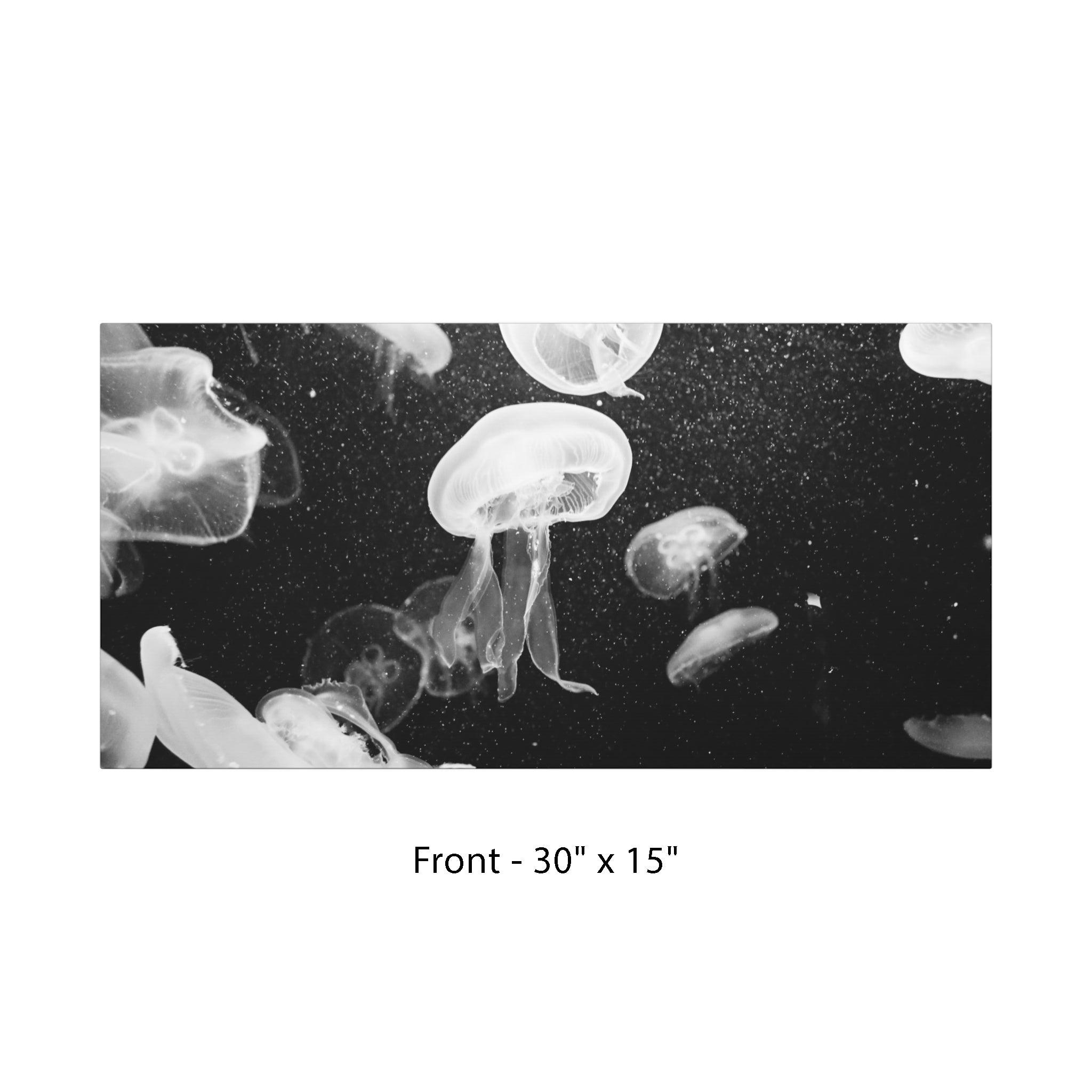 Jellyfish Canvas Print in Monochrome  — Black & White Ocean Wall Art