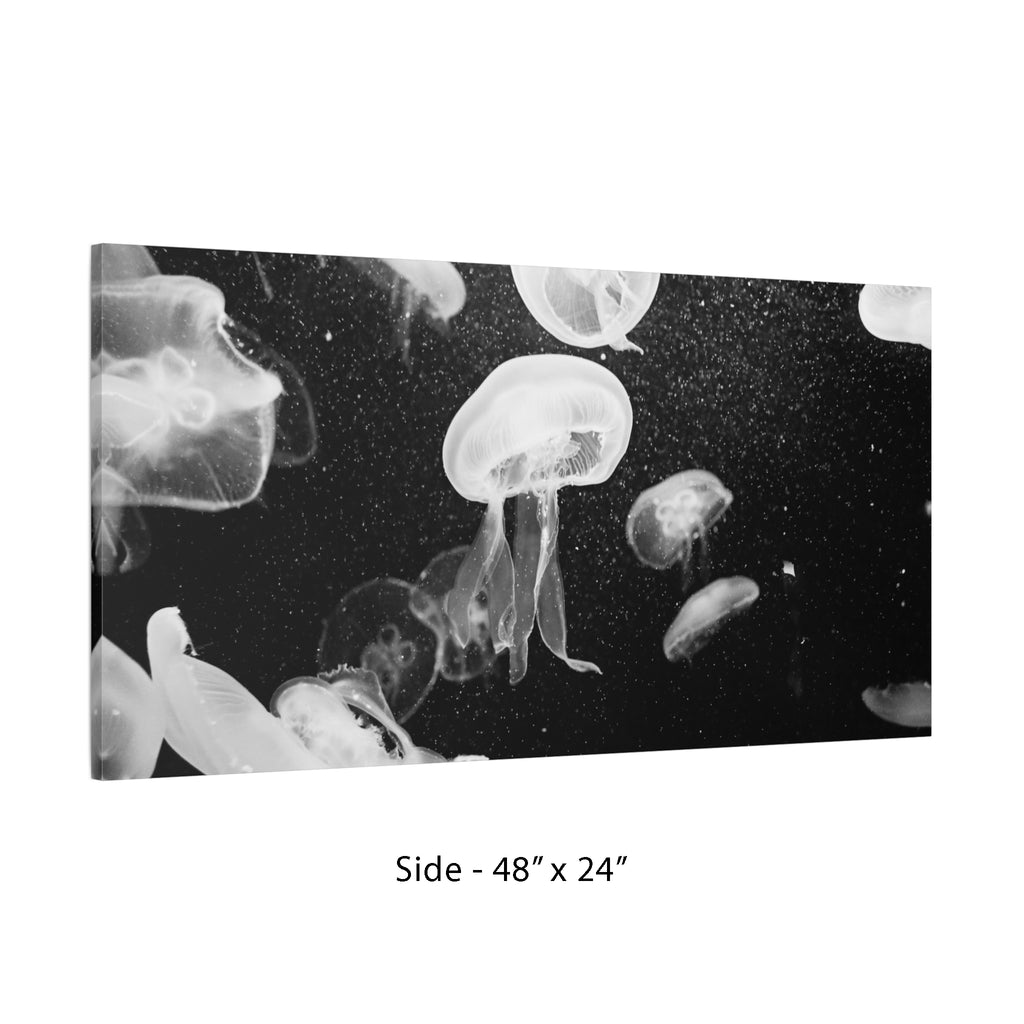 Jellyfish Canvas Print in Monochrome  — Black & White Ocean Wall Art
