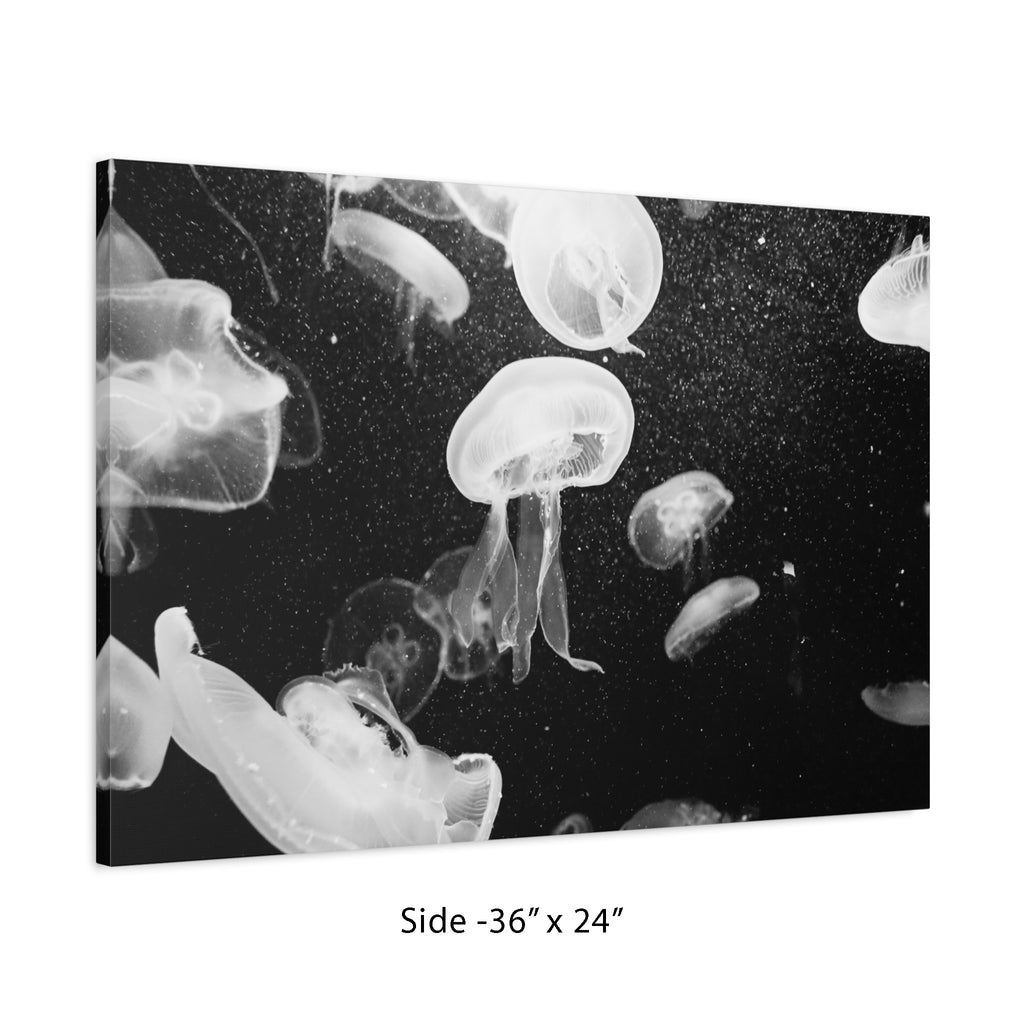 Jellyfish Canvas Print in Monochrome  — Black & White Ocean Wall Art