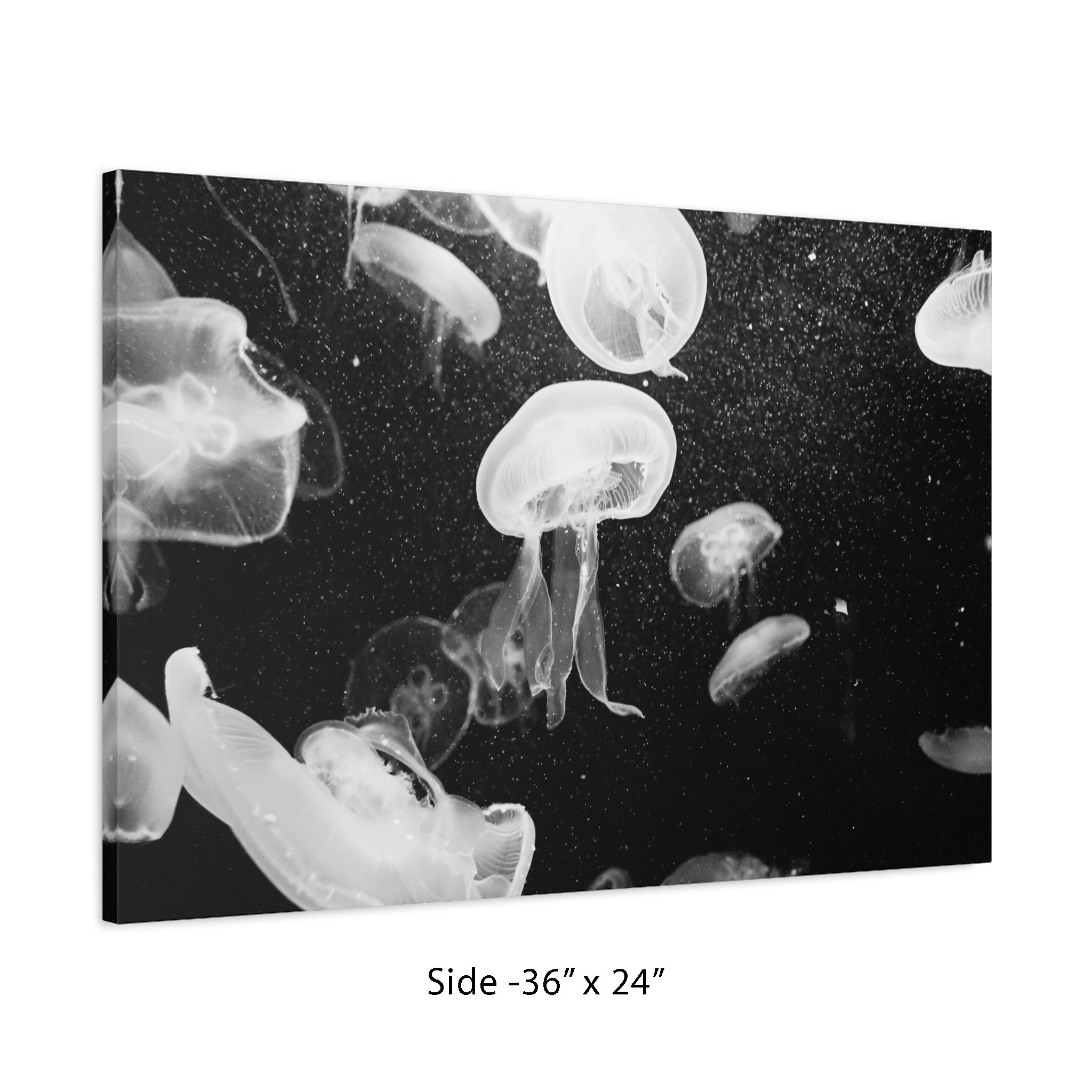 Jellyfish Canvas Print in Monochrome  — Black & White Ocean Wall Art