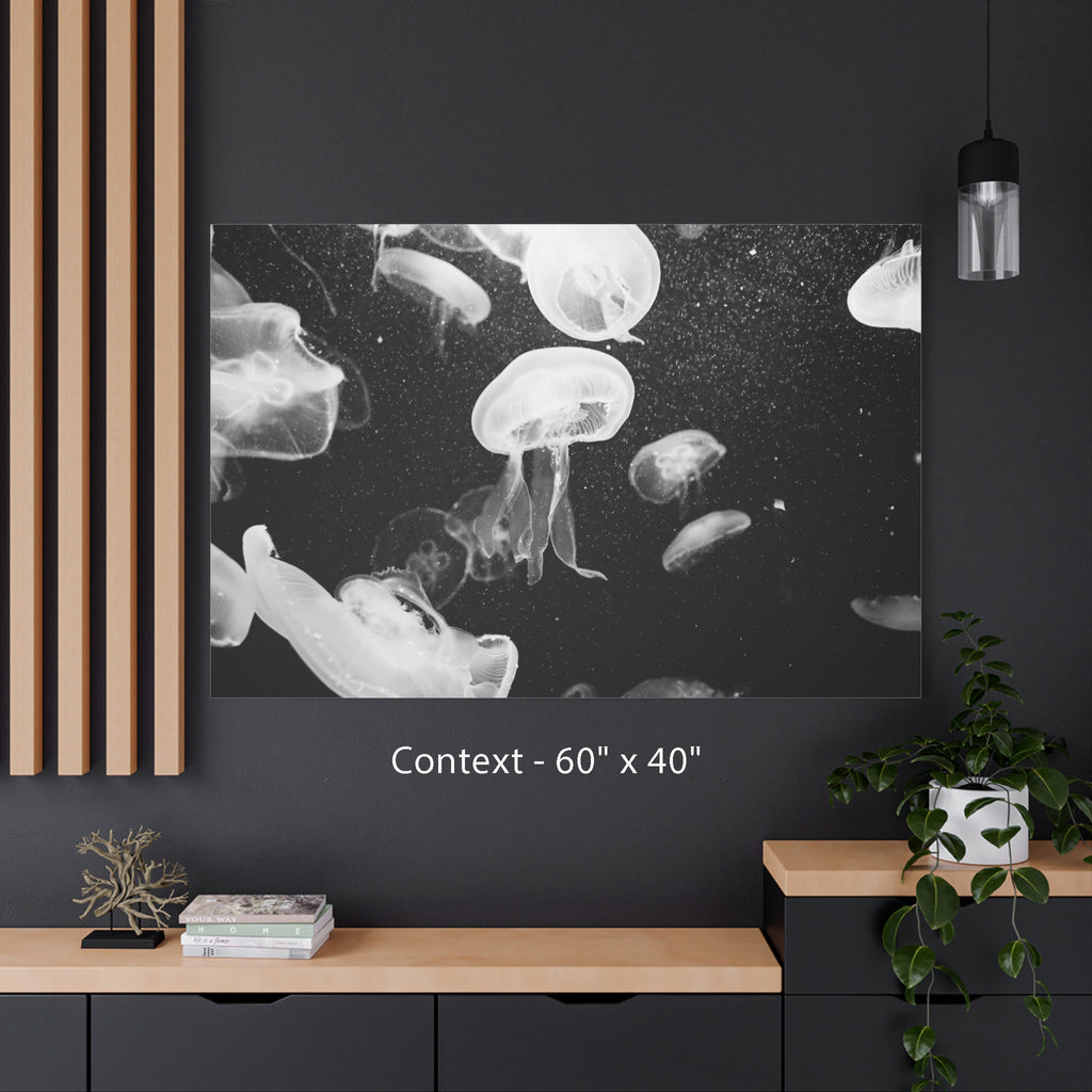 Jellyfish Canvas Print in Monochrome  — Black & White Ocean Wall Art