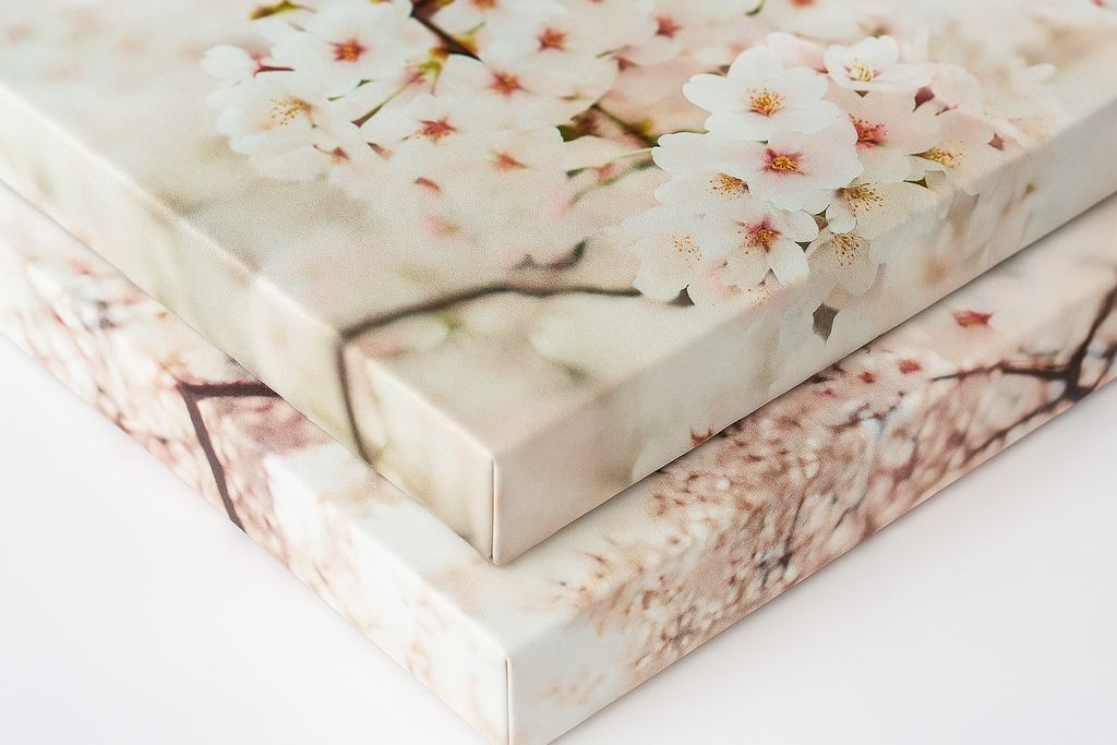 Jellyfish Canvas Print in Monochrome  — Black & White Ocean Wall Art