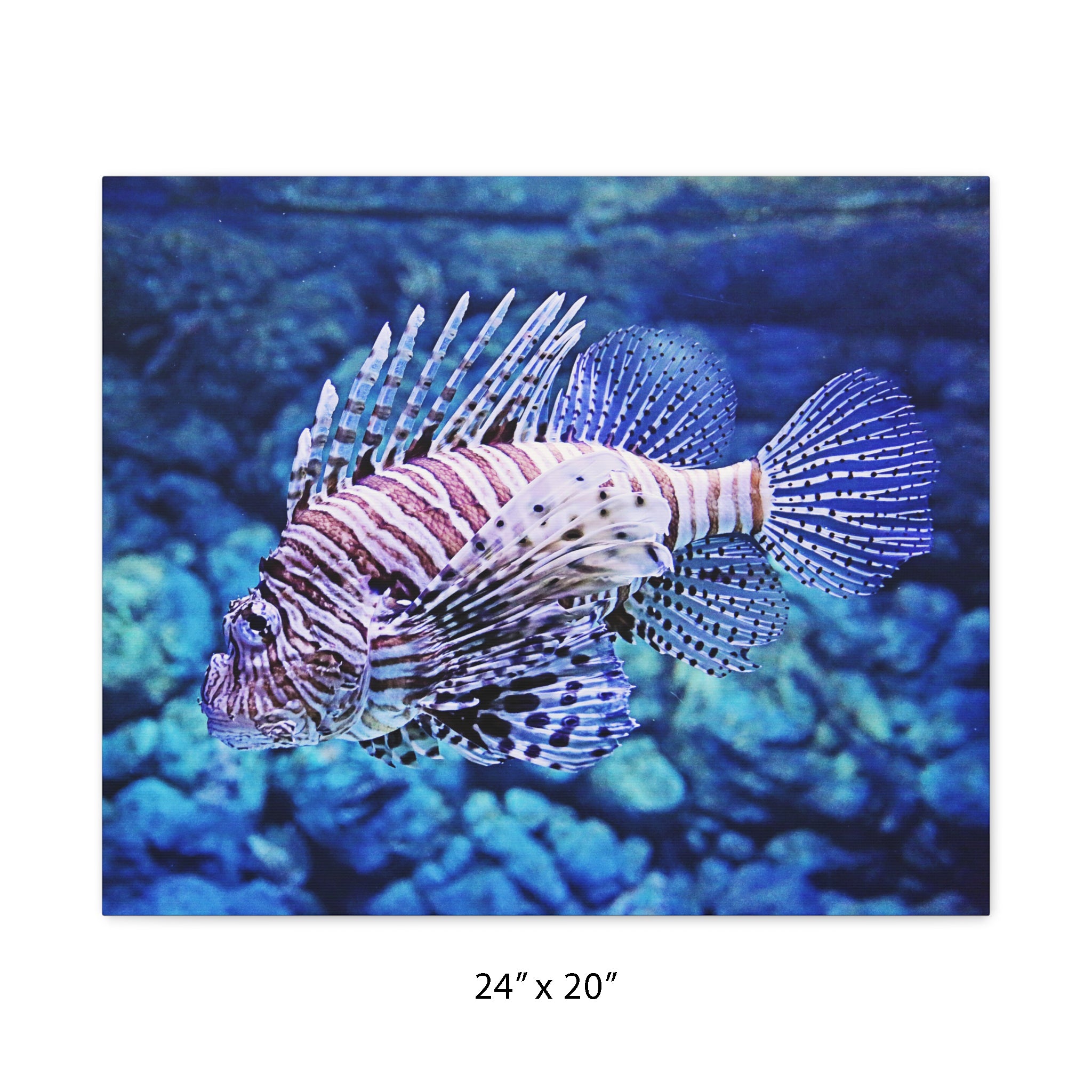 Lionfish Underwater Canvas Print – Premium Ocean Wildlife Wall Art for Home, Office & Coastal Décor