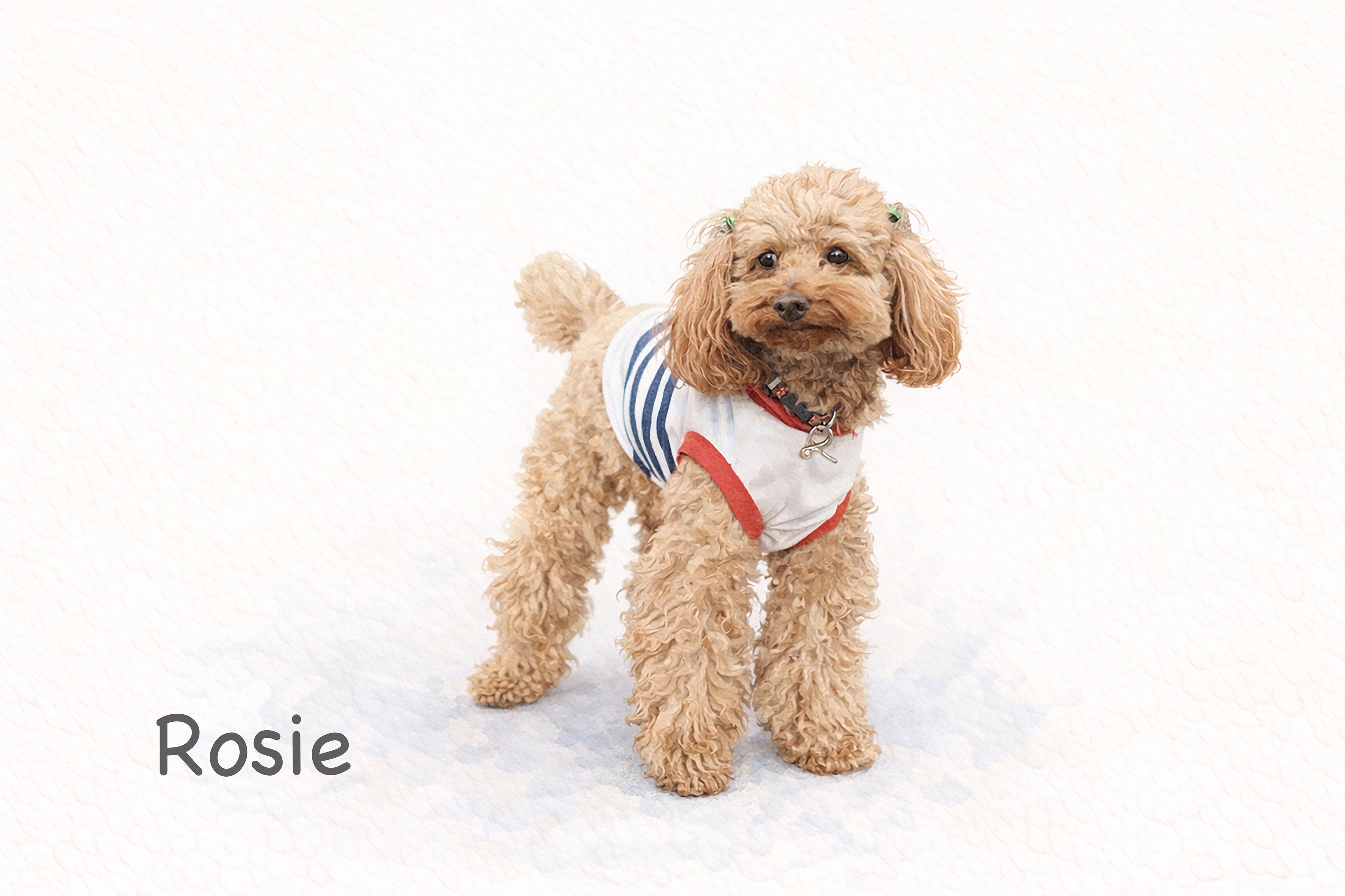 Custom Minimalist Dog Portrait Canvas From Your Photo (Standing portrait in Landscape orientation)