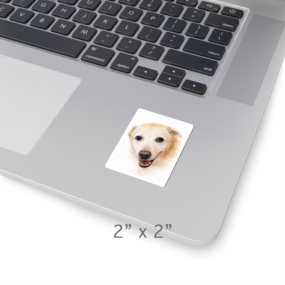 Turn Your Dog Into an Art piece on a Kiss-Cut Sticker