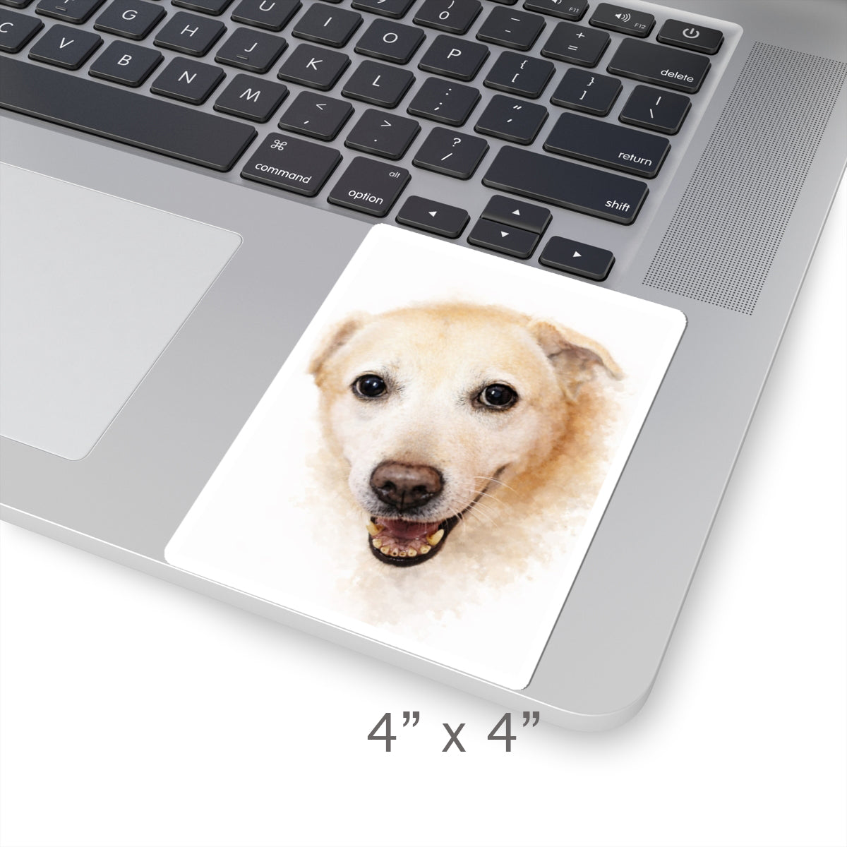 Turn Your Dog Into an Art piece on a Kiss-Cut Sticker