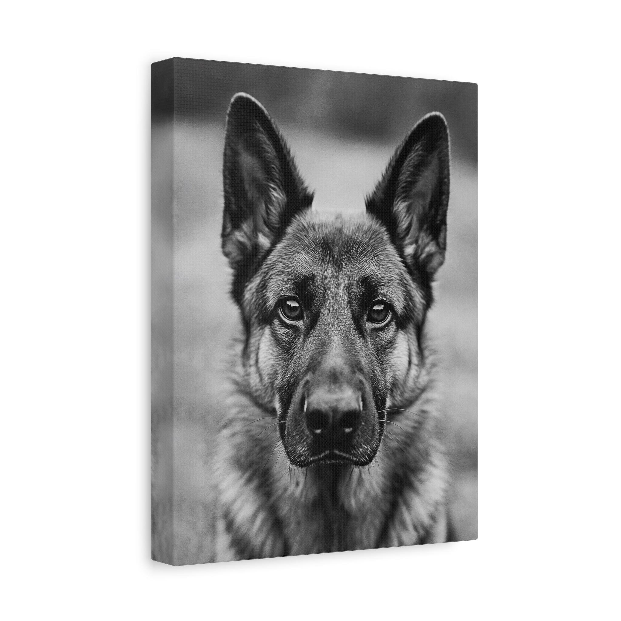 German Shepherd Matte Canvas for Home/Office wall art, Stretched, 1.25"