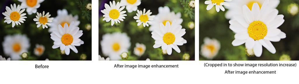 Digital Image resolution increase with Photo enhancement - High-Resolution Image Conversion + Photo Enhancement