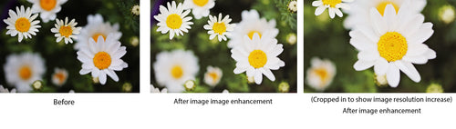 Digital Image resolution increase with Photo enhancement - High-Resolution Image Conversion + Photo Enhancement