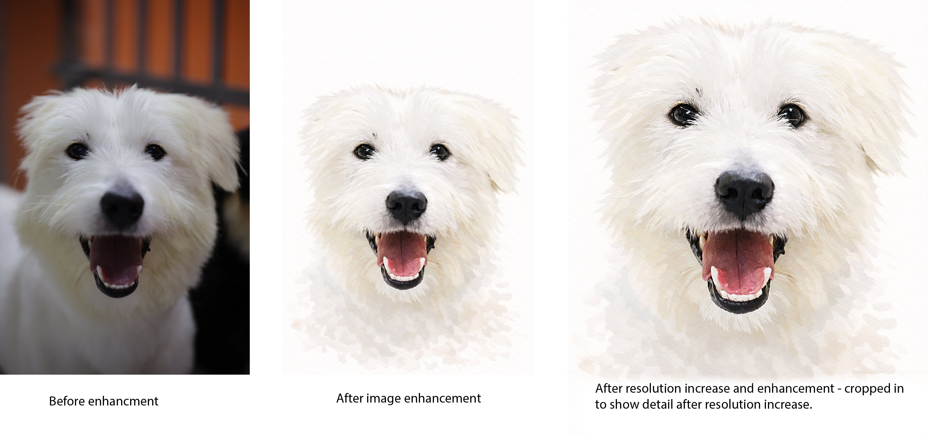 Turn Your Dog’s Photo Into Art — Enhanced in High Resolution